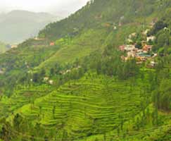 Tour Package In Uttarakhand