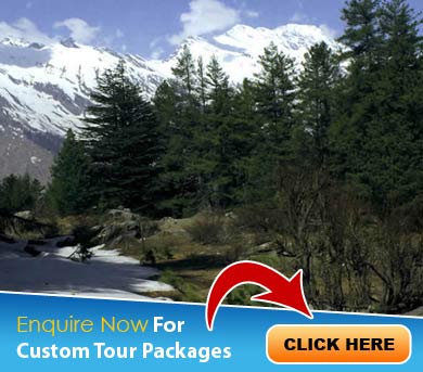 Uttarakhand Tour Packages