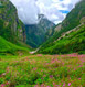 Uttarakhand Tour Packages